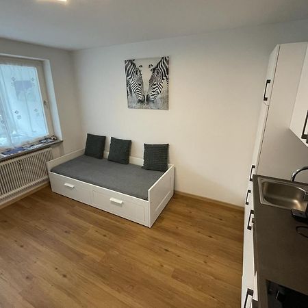 Vidaoro Studio Flat Zell am See Kültér fotó